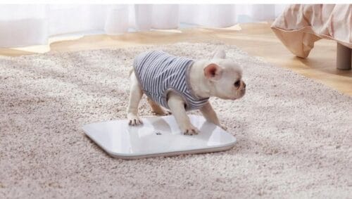 Waga łazienkowa Xiaomi Mi Smart Scale 2 - obrazek 6