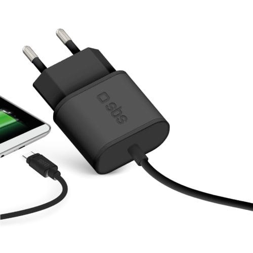 TRAVEL CHARGER 100/250V 3100 MAH ULTRA FAST CHARGE WITH USB TYPE-C CONNECTO - obrazek 2